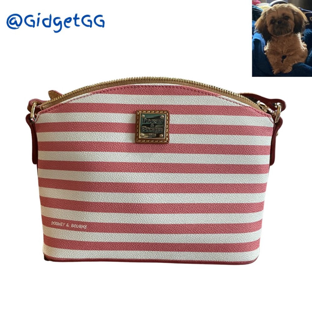 Dooney & Bourke Pink and White Striped Domed Crossbody with Gold Accents